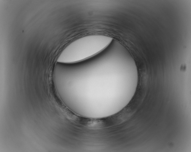 X0000111510274200907141344