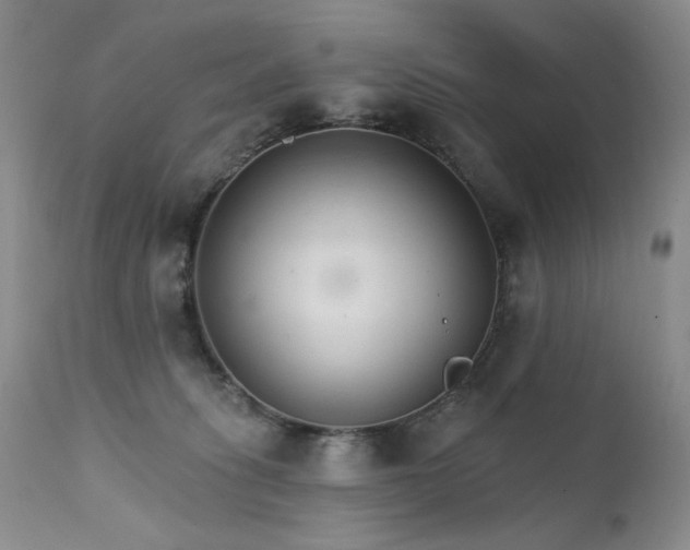X0000111510275200907141344
