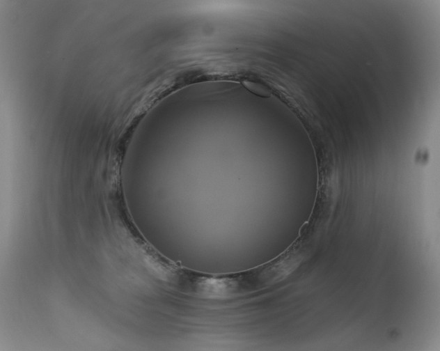 X0000111510277200907141344
