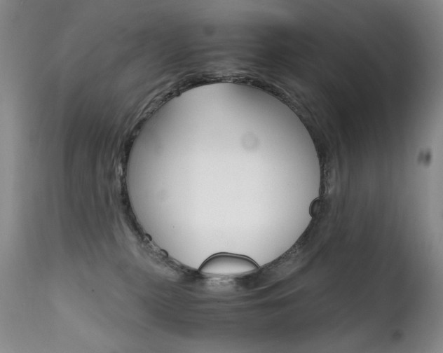X0000111510279200907141344