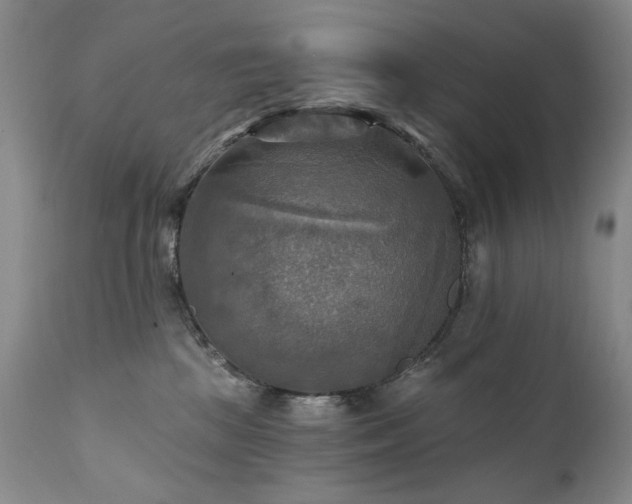 X0000111510281200907141344