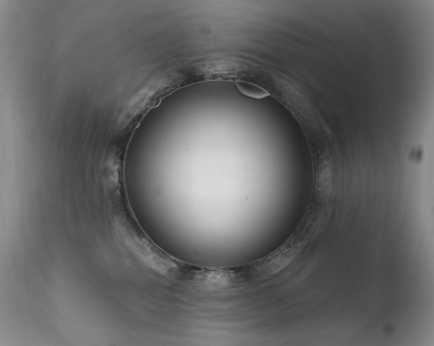 X0000111510282200907141344