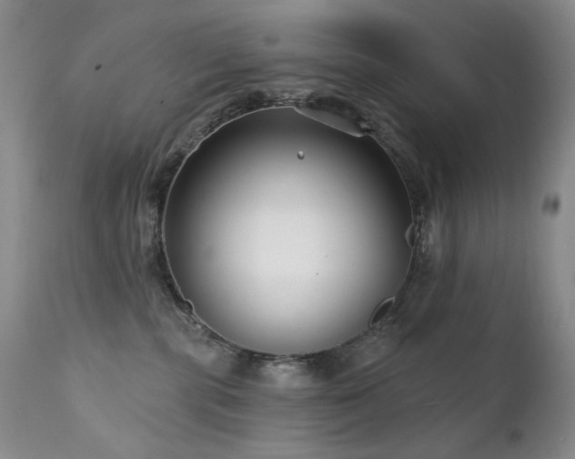 X0000111510283200907141344
