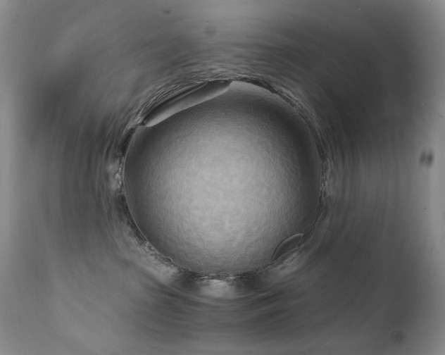 X0000111510285200907141344