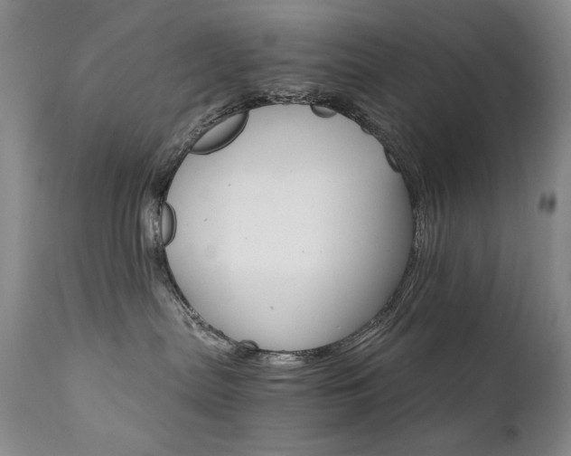 X0000111510287200907141344