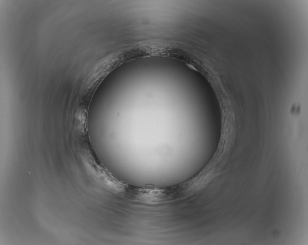 X0000111510288200907141344