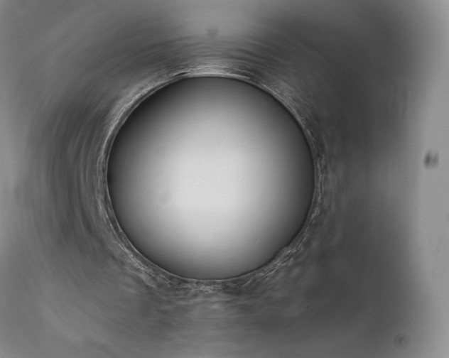 X0000111510289200907141343