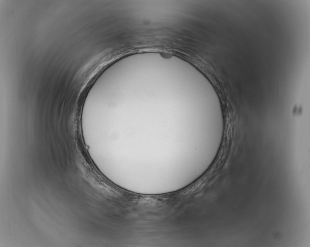 X0000111510290200907141343