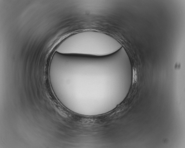 X0000111510291200907141343
