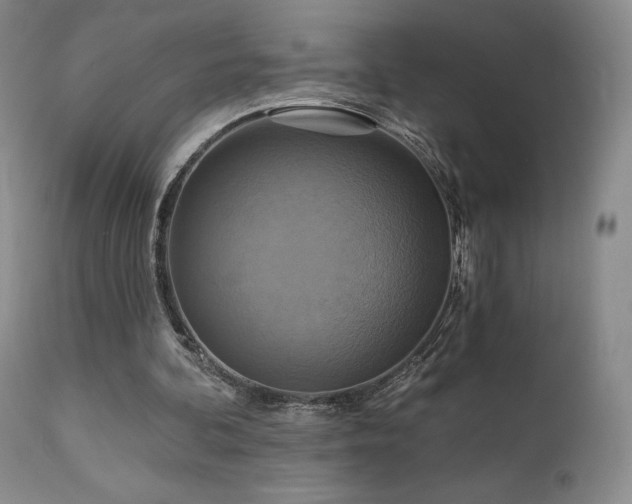 X0000111510292200907141343