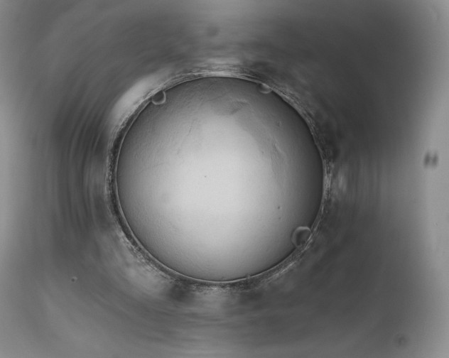 X0000111510293200907141343
