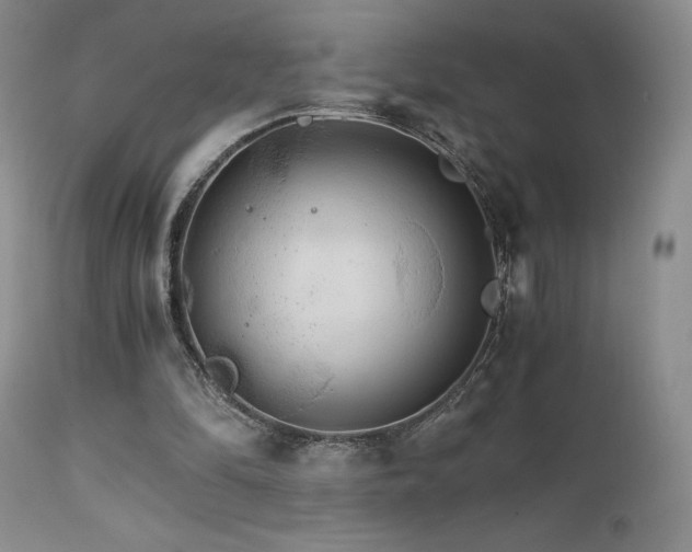 X0000111510294200907141343