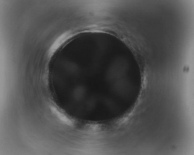 X0000111510295200907141343