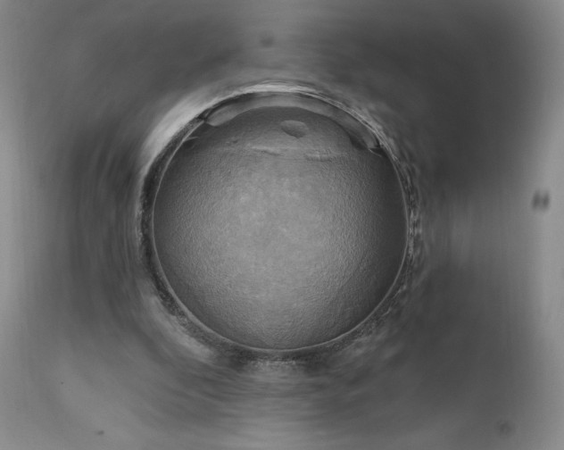 X0000111510296200907141343