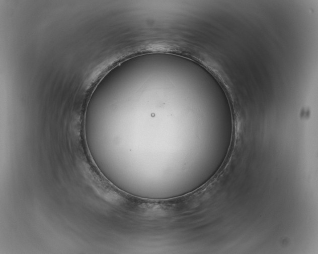 X0000111510297200907141343