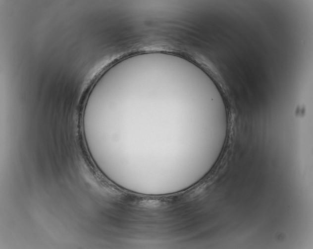 X0000111510298200907141343