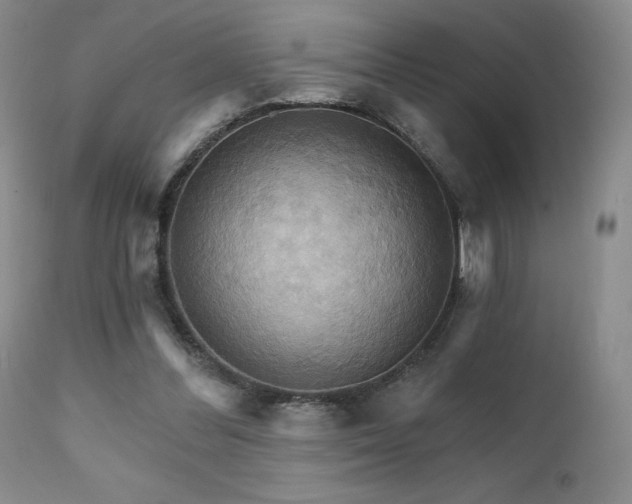 X0000111510300200907141343