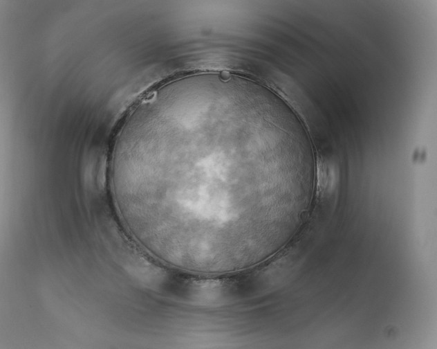 X0000111510301200907141343