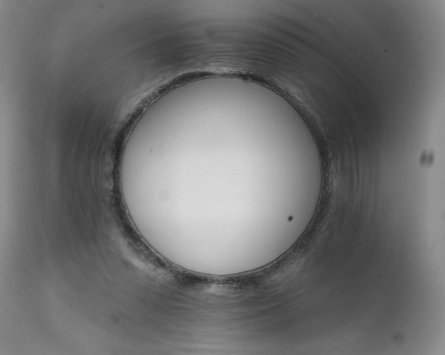 X0000111510303200907141343