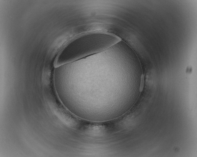 X0000111510304200907141343