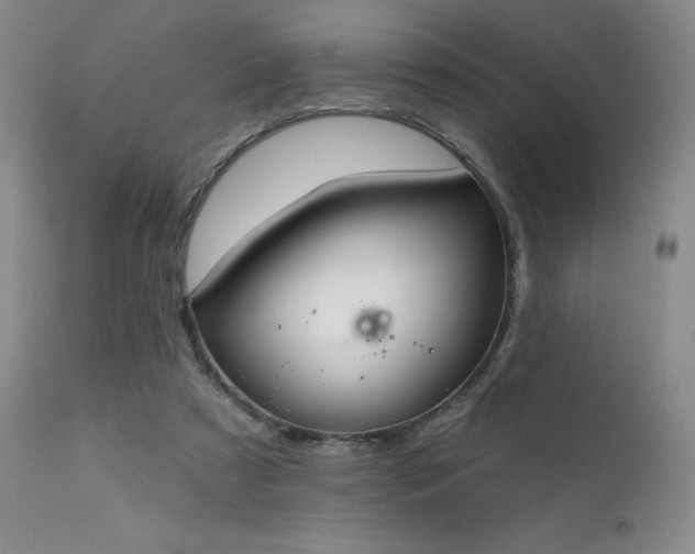 X0000111510305200907141343