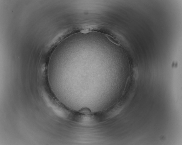 X0000111510308200907141343