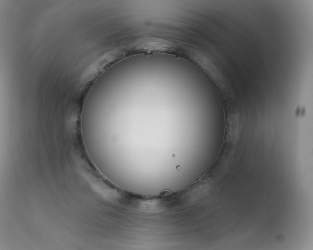 X0000111510309200907141343