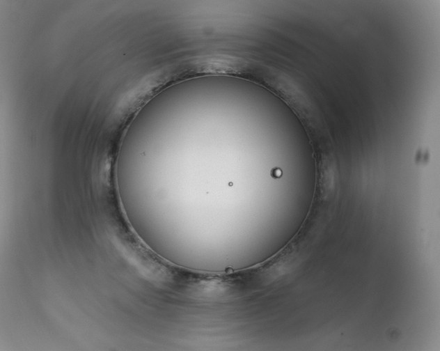 X0000111510310200907141343