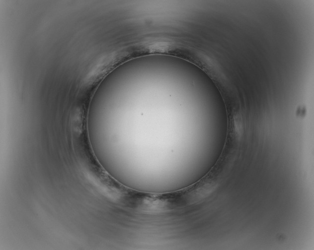 X0000111510311200907141343