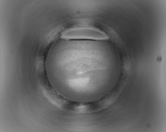 X0000111510312200907141343