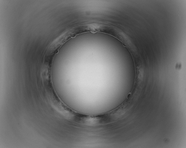 X0000111510313200907141343