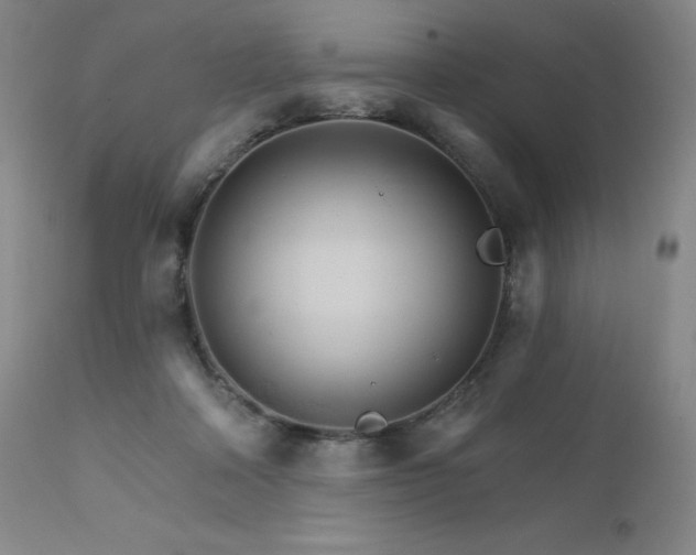 X0000111510314200907141343