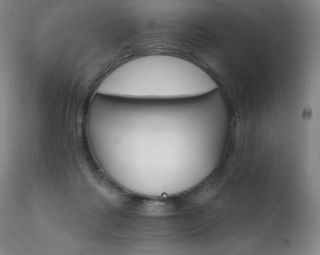 X0000111510315200907141343