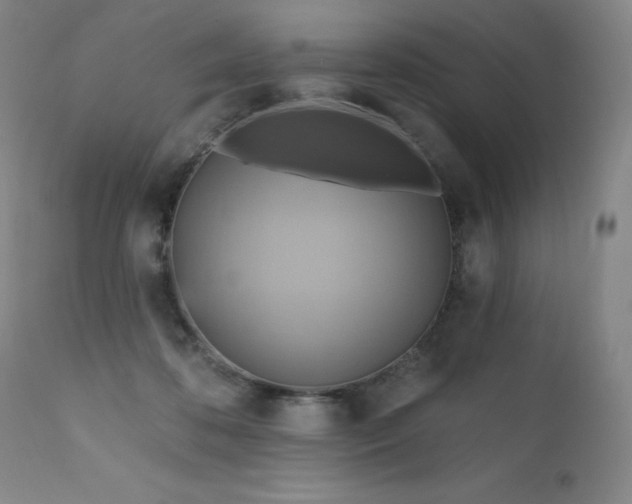 X0000111510316200907141343