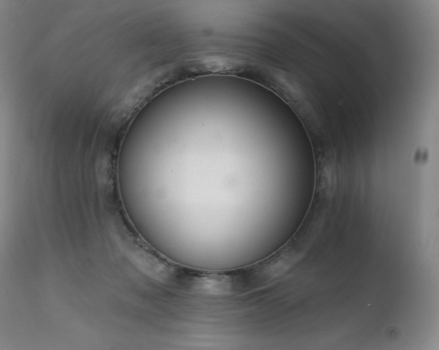 X0000111510317200907141343