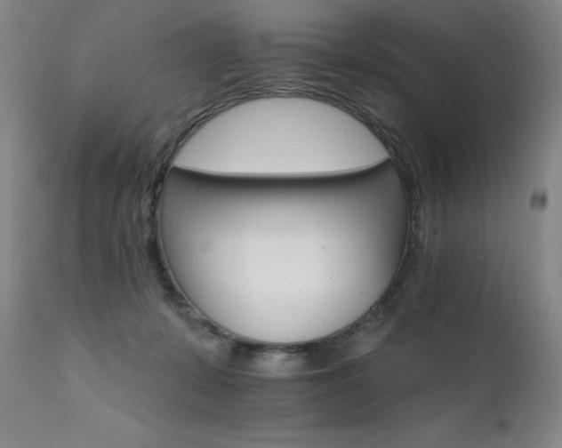 X0000111510319200907141343