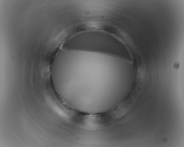 X0000111510320200907141343