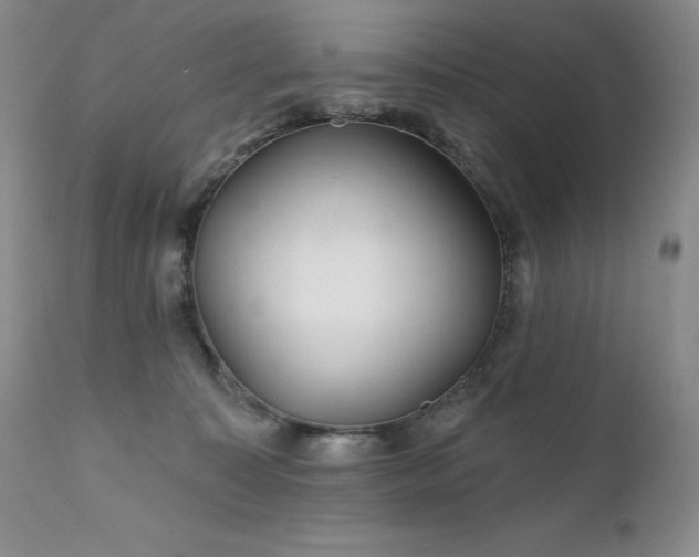 X0000111510323200907141343