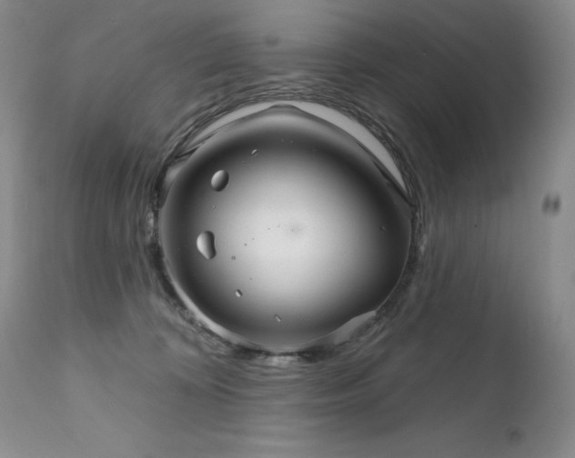 X0000111510324200907141343