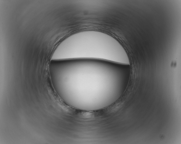 X0000111510325200907141343