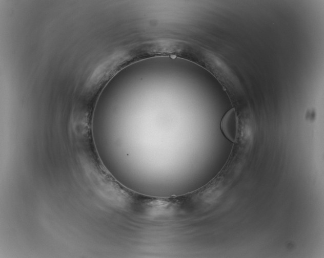 X0000111510326200907141343