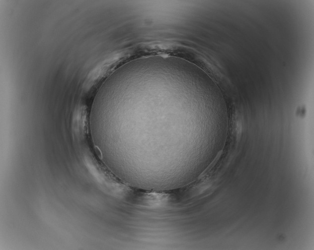 X0000111510328200907141342