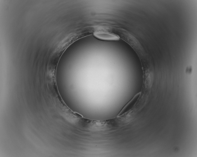 X0000111510329200907141342