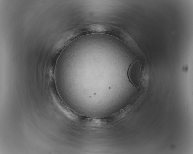 X0000111510330200907141342