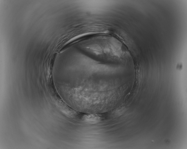 X0000111510331200907141342