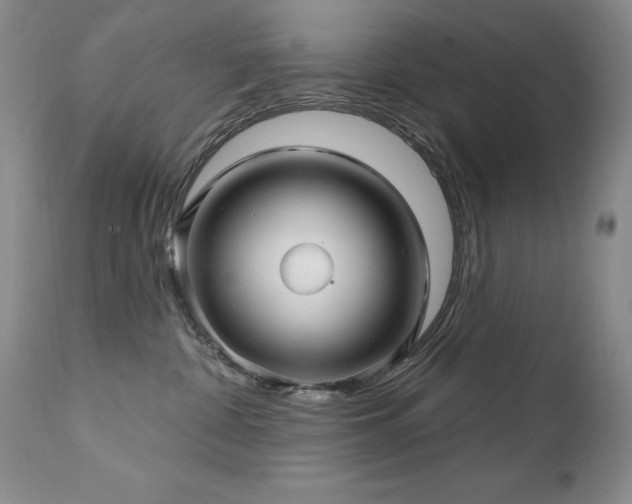 X0000111510332200907141342