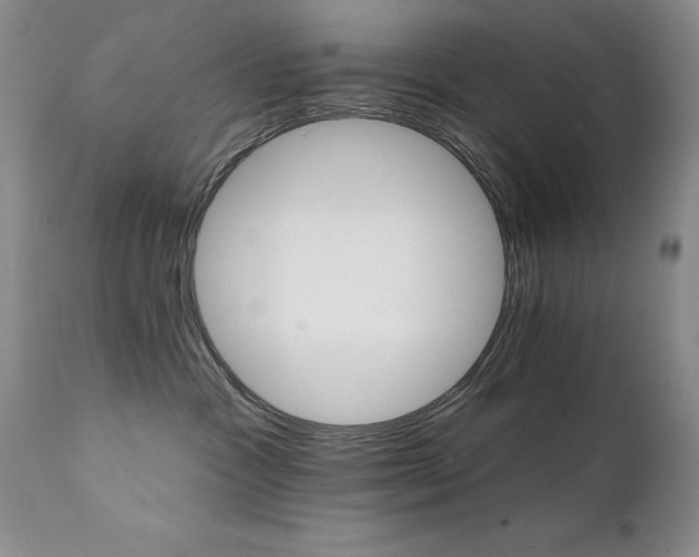 X0000111510333200907141342