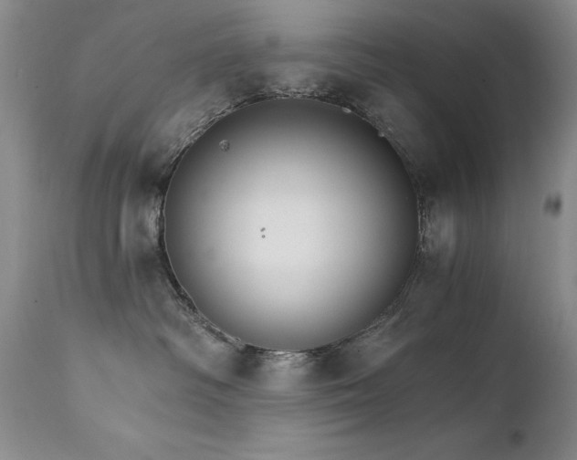 X0000111510334200907141342