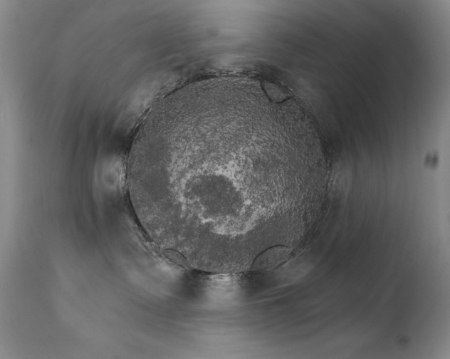 X0000111510335200907141342