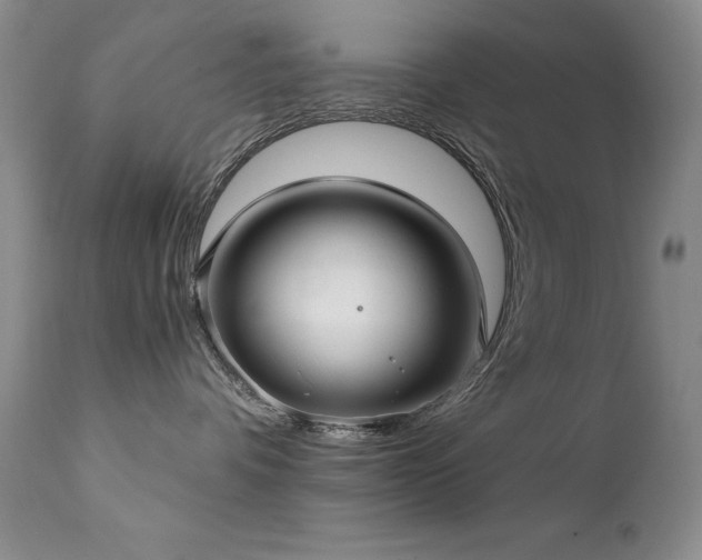 X0000111510336200907141342